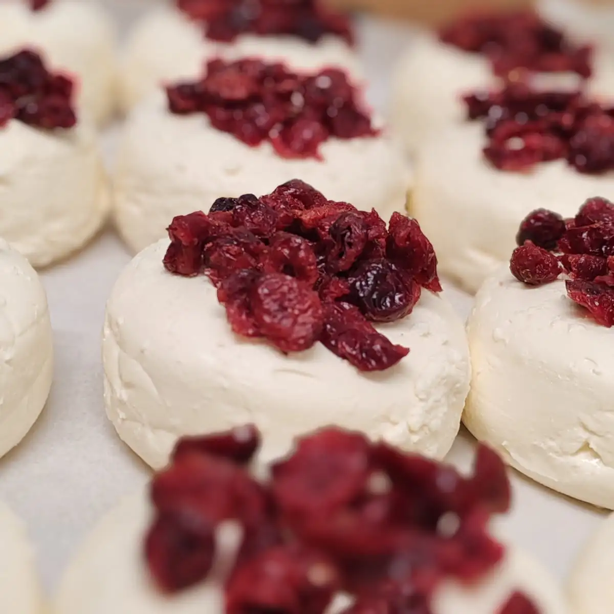 P’tit frais cranberry